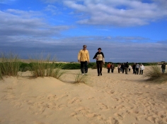 Excursiones en Cádiz