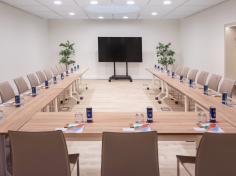Mijas Meeting Room