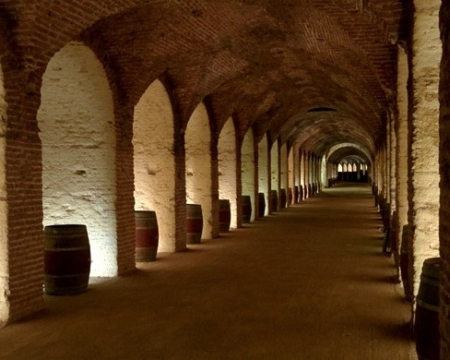 Bodega del Real Cortijo de Carlos III