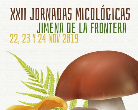 Cartel Jornadas micológicas