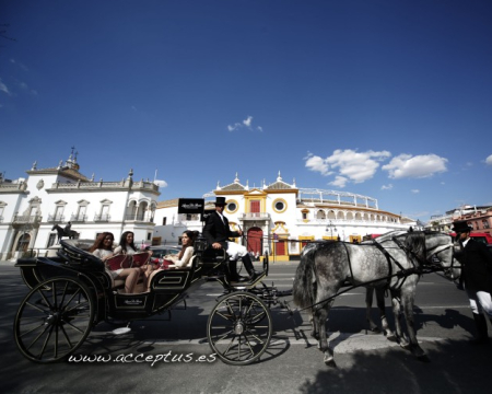 Événements en l'Andalousie. Une destination privilégiée