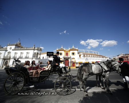 Événements en l'Andalousie. Une destination privilégiée