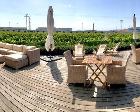 Terraceo en Bodegas Valdemar