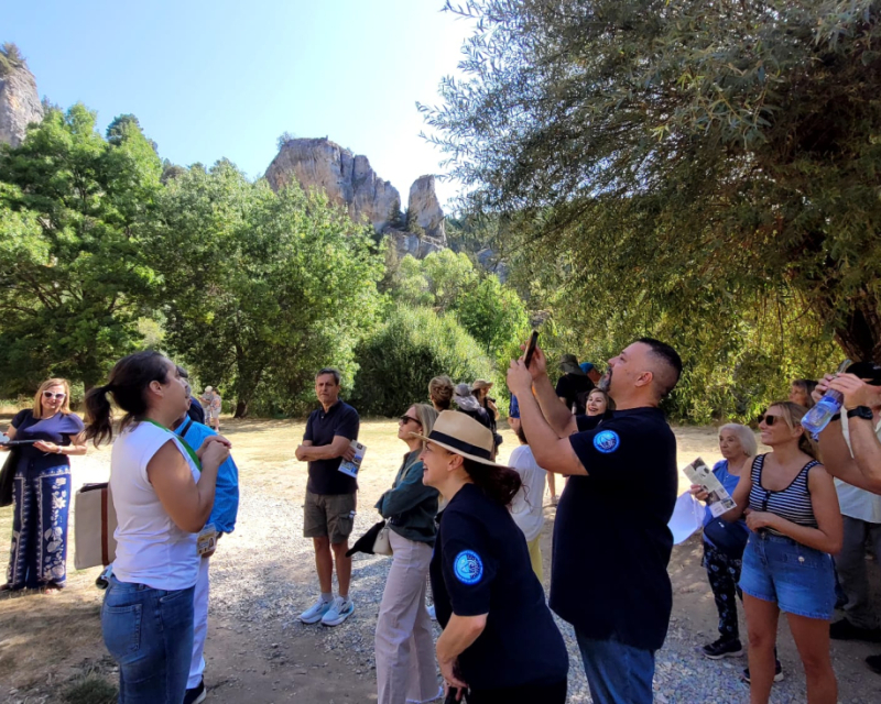 Visita con grupo en el Cañón del Río Lobos (Soria)