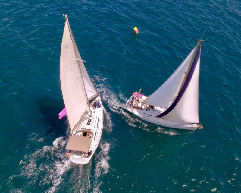 Quicksail team building regatta